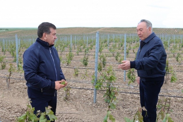Президенты Узбекистана и Казахстана посетили ТОО «Caspian Food» в Южно-Казахстанской области
