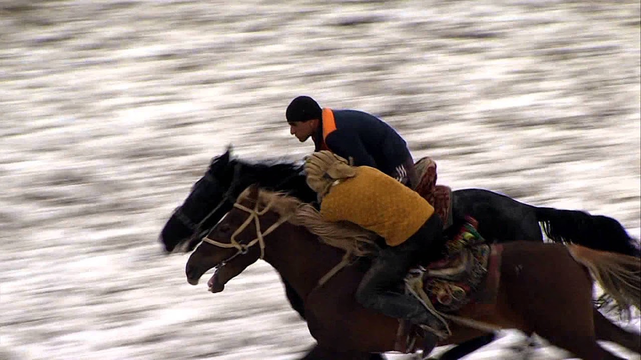 Узбекистан решил развивать коневодство и конный спорт
