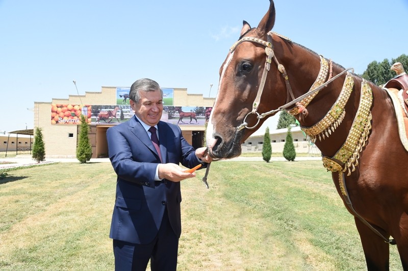 Президент Узбекистана посетил конный завод в Ташкентской области