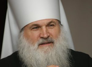 Митрополит Викентий о визите главы РПЦ