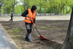 Установлена максимальная оплата общественных работ