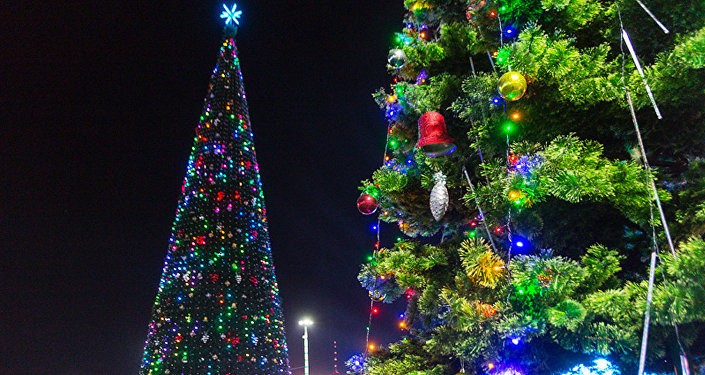 Новогодние елки украсят 12 площадей Ташкента