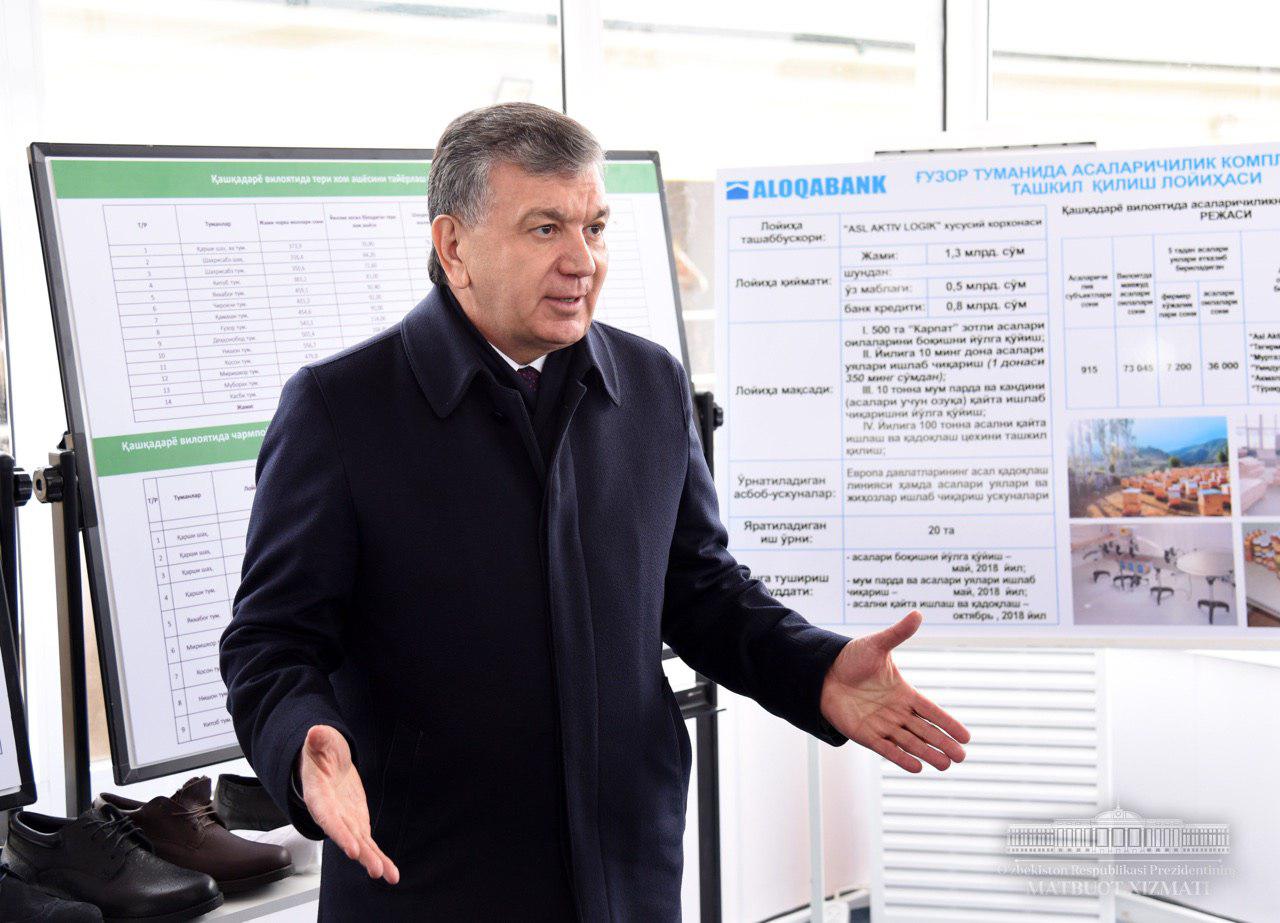 Президент ознакомился с проектами по развитию сельского хозяйства Кашкадарьи