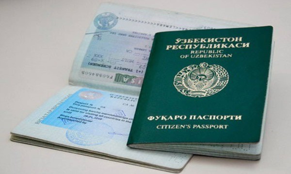 МВД запустило электронную систему госуслуг в паспортно-визовой сфере
