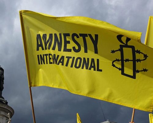 МИД принял делегацию Amnesty International