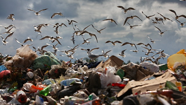 Цифра дня: сколько отходов в Узбекистане образуется ежегодно?