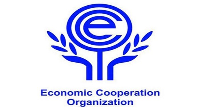 Узбекистан и ОЭС обсудили аспекты развития и укрепления сотрудничества