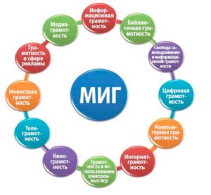 МИГ: основные понятия и компетенции