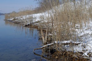 На берегу канала в Ферганской области обнаружено тело новорожденного