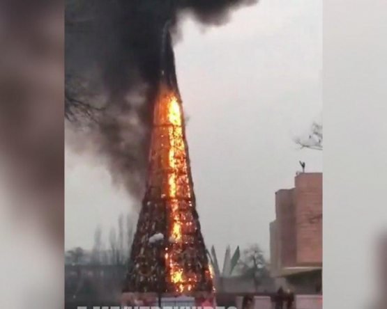 Фактчек: из-за чего сгорела Новогодняя ёлка в Коканде?