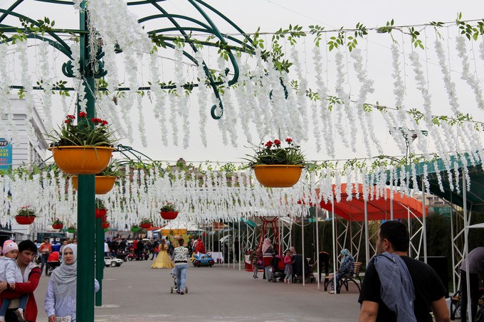 Фестиваль хлеба и «Парад деревьев»: Какие мероприятия пройдут в Ташкенте в 2019 году?