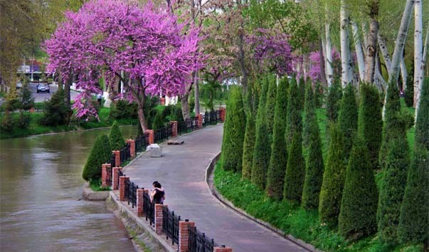 В Ташкенте благоустроят двенадцать набережных