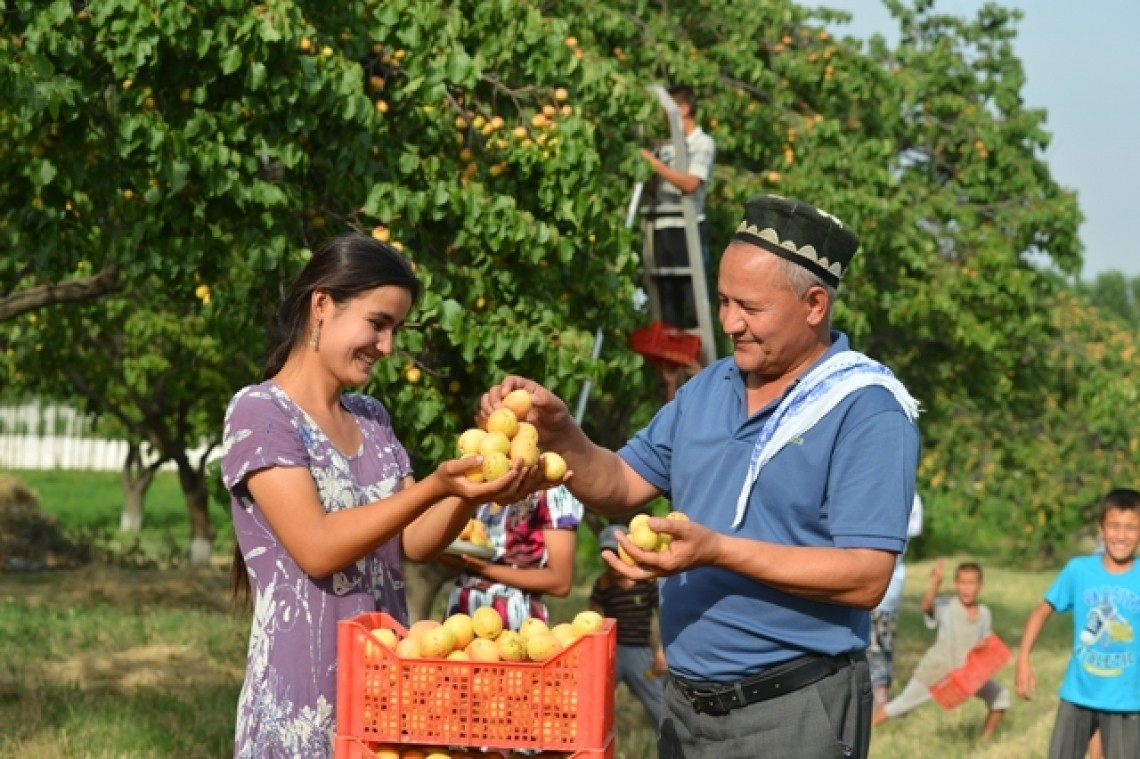 Фермеры Узбекистана и Нидерландов согласовали направления сотрудничества