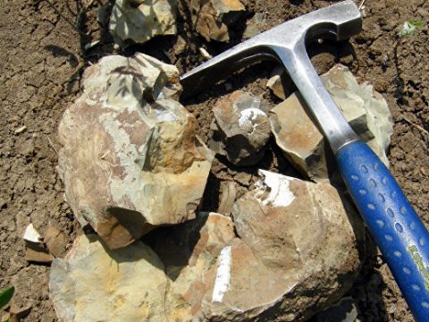 Мирзиёев провел совещание по геологоразведке: 70 % техники в отрасли изношено