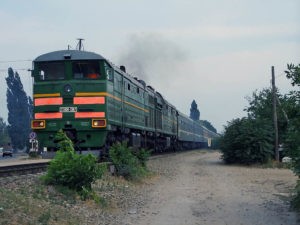 У граждан Узбекистана в российском поезде изъяли насвай