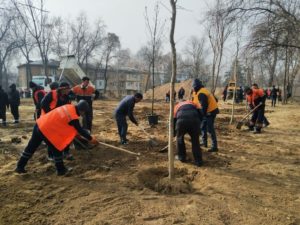 Дарахт кесганларга нисбатан жиноий иш қўзғатилди