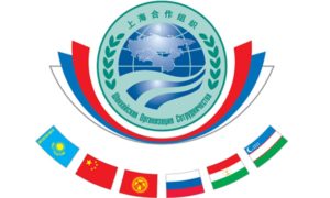 Узбекистан и другие страны ШОС будут совместно бороться против киберугроз