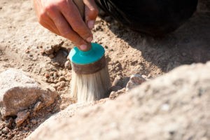 Узбекские археологи примут участие в конференции «Проблемы изучения неолита Евразии»