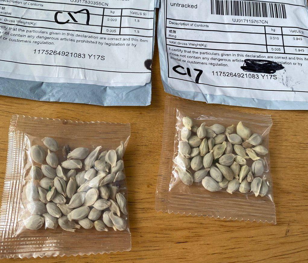 В США расследуют таинственные посылки с семенами из Узбекистана
