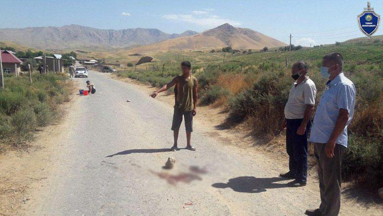 В результате двух ДТП на дорогах Кашкадарьи погибло трое детей