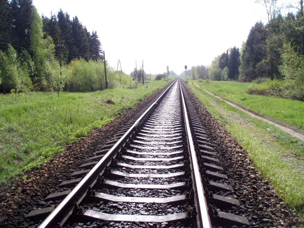 Гражданин Узбекистана чуть не украл железную дорогу