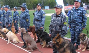 Собак всех возрастов и пород представит Международная выставка в Ташкенте