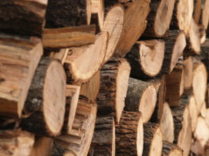 Кировскую древесину незаконно вывозили в Узбекистан