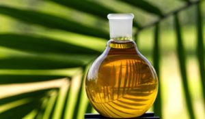 Узбекистан увеличивает импорт пальмового масла из Малайзии