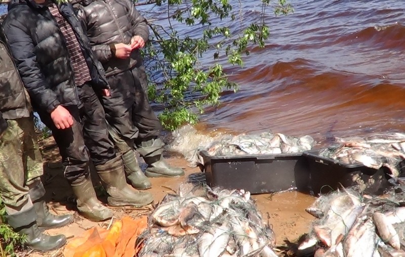 Пограничники выловили трех рыбаков на реке Сох