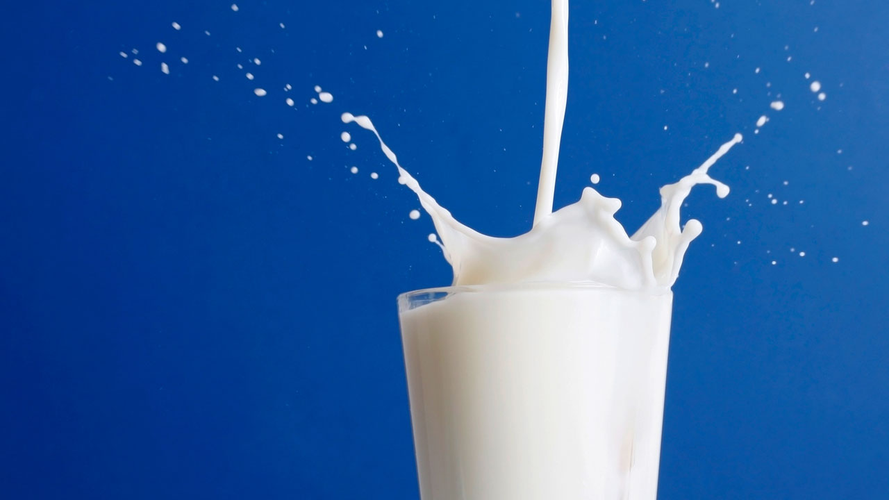 Молочные продукты – это сила!