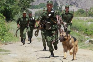 Граница вольностей не любит