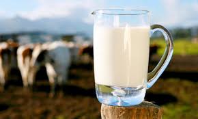 Азизахон Ходжаева: Молоко – продукт