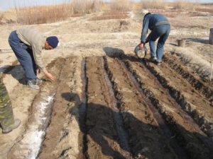 Аральскую катастрофу решено смягчить