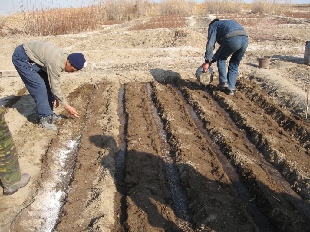 Аральскую катастрофу решено смягчить