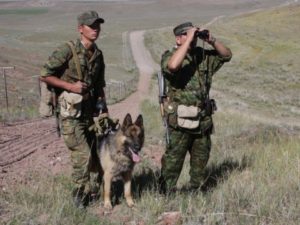 На узбекско-казахской границе задержана банда контрабандистов