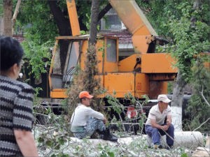 «Подарок» от мебельщиков Узбекистана