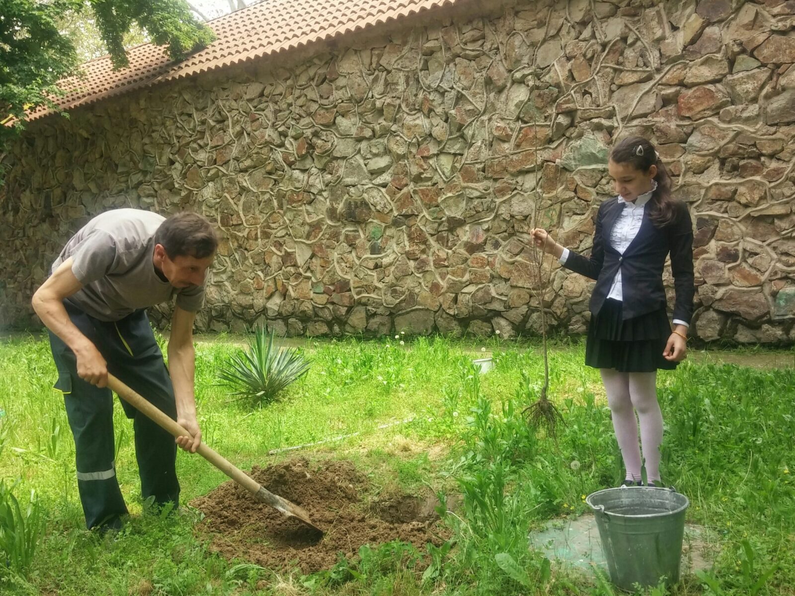 Озеленяем Ташкент: посади дерево вместе с «Сочной долиной»!