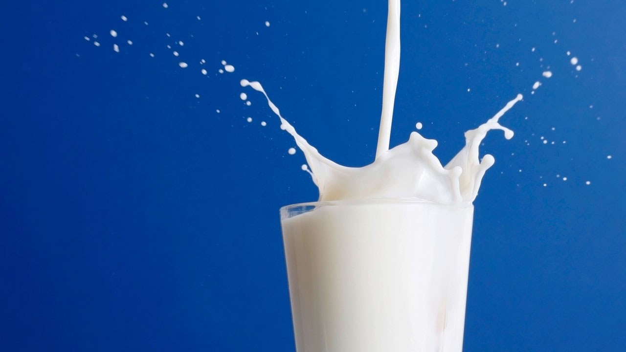 Эксперт: Узбекистан может стать экспортёром молока
