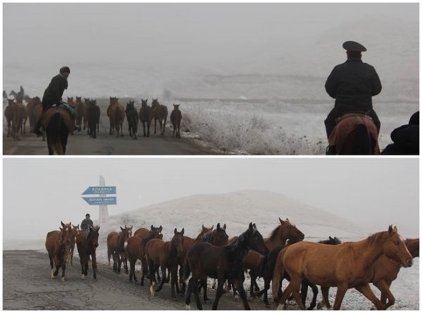 Нарушителя узбекско-кыргызстанской границы вернули на родину